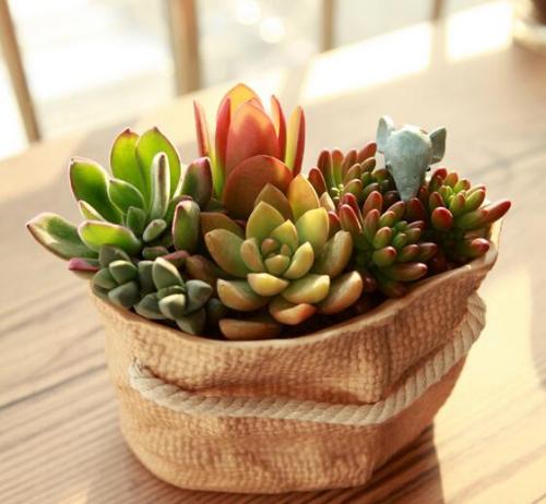 ֣׷ȫʱ̱ŷ ʱ1119Сʱ