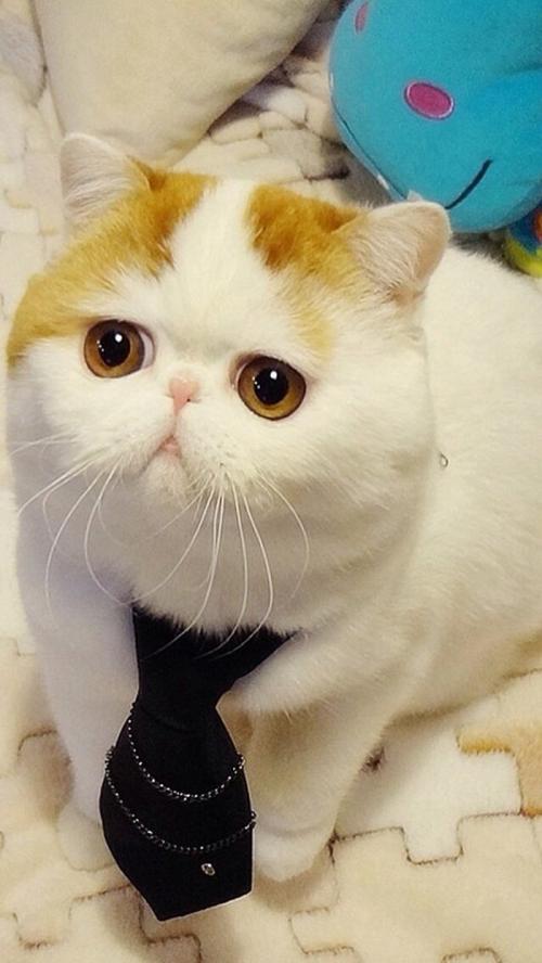 籩Ϯ ½߷ٳÿСʱ100