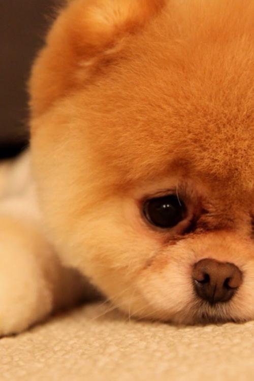 ޵ǵ1 ڹ˹Ǻ˵վݹر