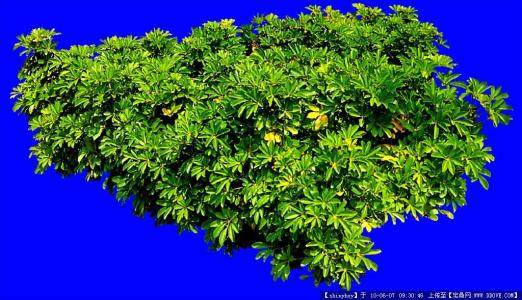 沪浙打通首条省界“断头路” 通勤缩短到3分钟