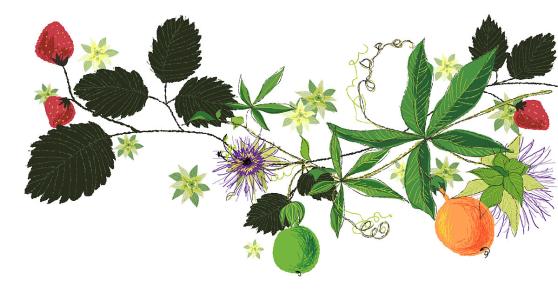 ҳܰ,ʦ͵͵ڿ ϸλǩЭ飿