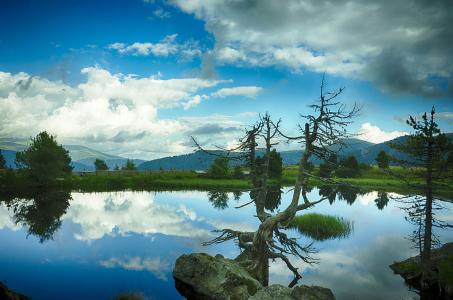 ·ą́Ê×·¢Êý×Ö»¯È«ÓòÏû·Ñʾ·¶Æ½Ì¨£¡Ò»¼ü¿ªÆô¡°·á²ÊÖ®Âᱡª¡ª