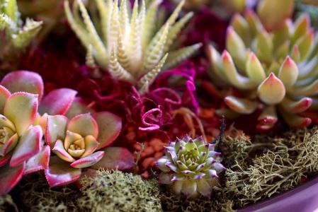 Ľ조׼ߡѧֻںٰ ֻĸ㽭͵;о